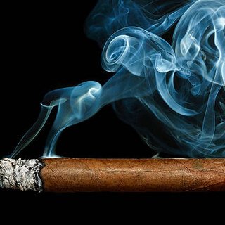 Cigar